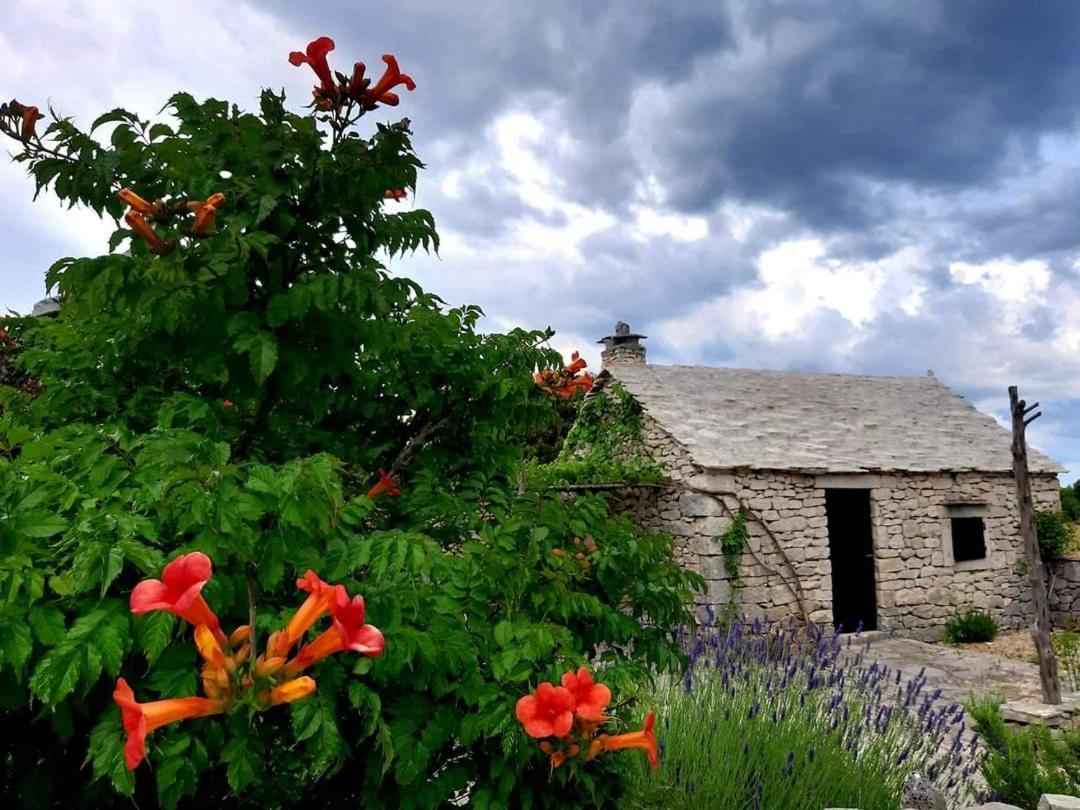 Country House Hacienda Selca  Ngoại thất bức ảnh