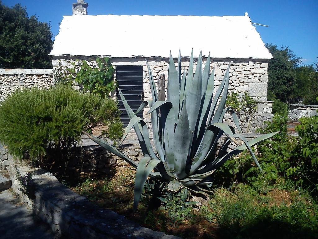 Country House Hacienda Selca  Ngoại thất bức ảnh